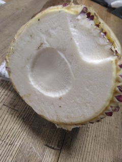 PUނ.jpg