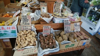 18屋久島産物.jpg