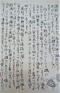 18日あまみ夏のおたより (2).jpg