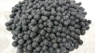 19丹波黒豆.jpg
