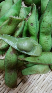 19丹波黒豆茹で豆.jpg