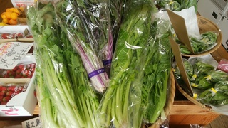 19岩崎こぶ高菜.jpg