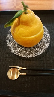 ２月２８日デザート三宝柑ゼリーと蕗の薹アイスクリーム.jpg