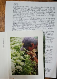 20人参の種採り便り (3).jpg