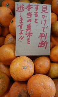 20加藤さん蜜柑 (2).jpg