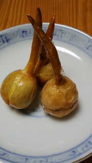 21吹田慈姑素揚げ.jpg