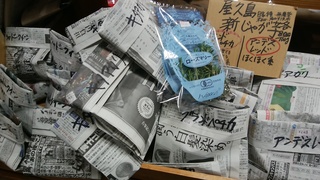 22日屋久島新じゃが.jpg