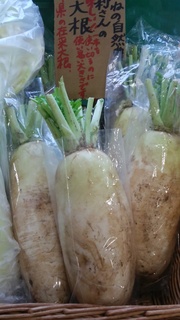 22源助大根.jpg