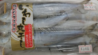 23イワシ丸干し.jpg