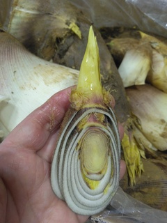 QR悪F.jpg