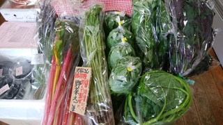 26日入荷情報.jpg