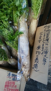 27三浦大根.jpg