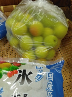 QV썂P̔.jpg