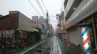 28ぼた雪.jpg