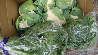 29 岩崎野菜1 (2).jpg