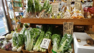29入荷かつお菜壬生杓子菜.jpg