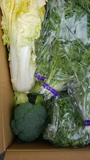 29岩崎野菜2.jpg
