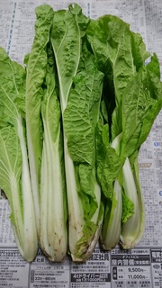 3後関芯と里奈.jpg