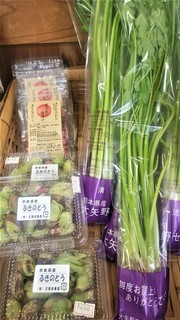 3月2日蕗の薹 (2).jpg