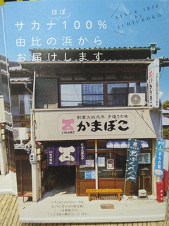 30日位置うろこパンフ.jpg