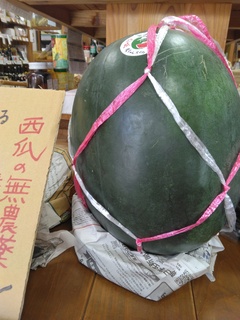RO傫ȐZP.jpg