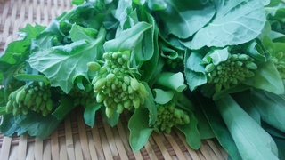 4がつ2日小松菜菜花.jpg