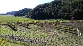 4佐久間さんいせひかりおだかけ.jpg