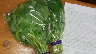 4月2日晩生アブラ菜(宮内菜).jpg