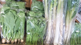 4月6日橋本農園 (2).jpg