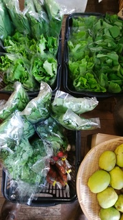 4飯田さん野菜.jpg