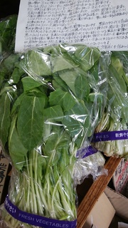 5壬生菜.jpg