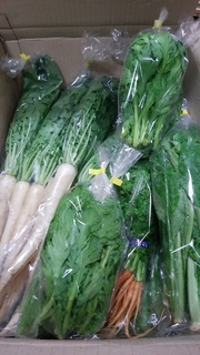 5月7 池松 野菜.jpg