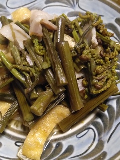 5月9日蕨煮物.jpg