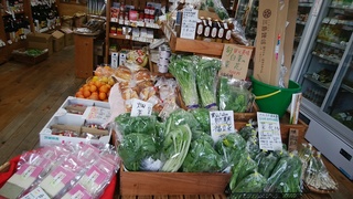 5菜花岩崎.jpg