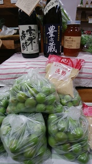 6月4日白加賀.jpg