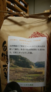 7佐久間いせひかり.jpg