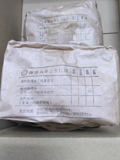 7日野生麹菌麦麹.jpg
