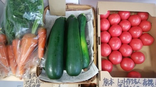 7月2日池松ズッキーニトマト.jpg