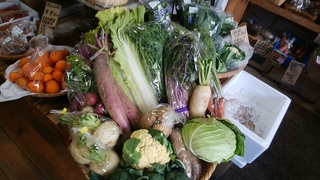 8岩崎さん野菜.jpg