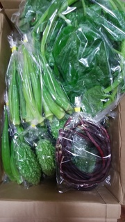 8日池松さん野菜オクラも.jpg