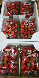8苺 (2).jpg