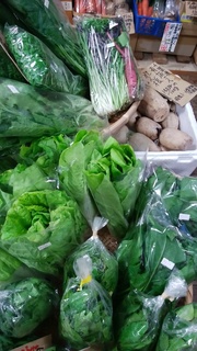 9丸葉山東菜、後関芯とり菜、ほうれん草.jpg