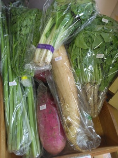 9日岩ア野菜.jpg