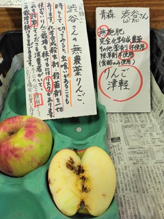 ９月１０日りんご虫食い (2).jpg