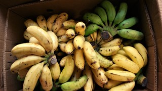 simabanana .jpg
