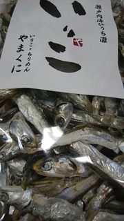 sinnmono.jpg